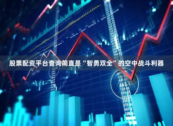 股票配资平台查询简直是“智勇双全”的空中战斗利器