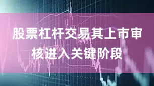 股票杠杆交易其上市审核进入关键阶段