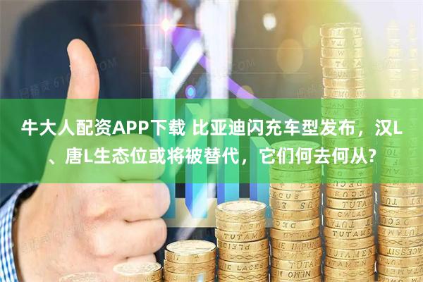 牛大人配资APP下载 比亚迪闪充车型发布，汉L、唐L生态位或将被替代，它们何去何从?