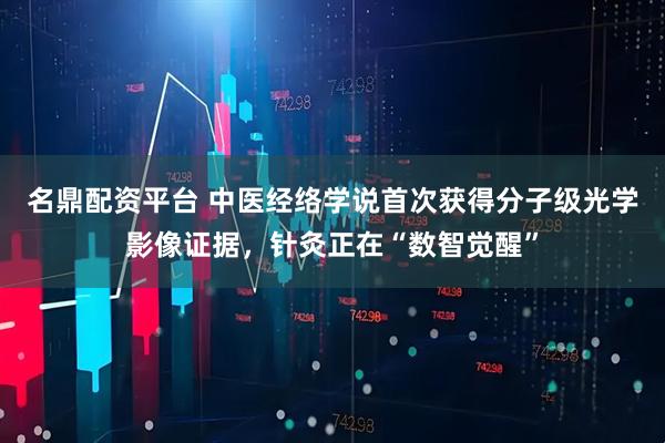 名鼎配资平台 中医经络学说首次获得分子级光学影像证据，针灸正在“数智觉醒”